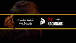 Produtos PLR Prontos para Venda 2